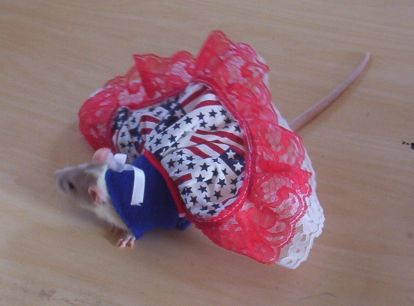 Patriotic Mouse