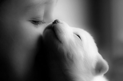 cute baby with cute puppy