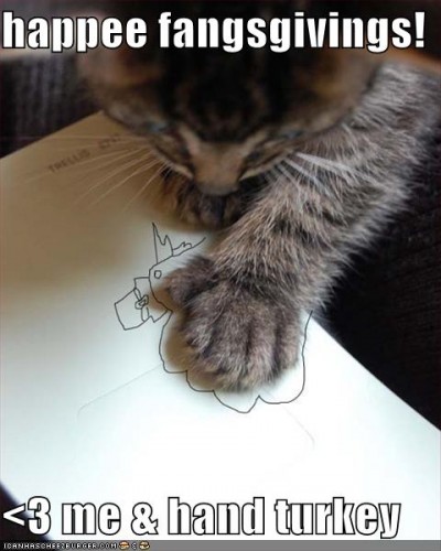 funny-pictures-thanksgiving-hand-turkey-cat
