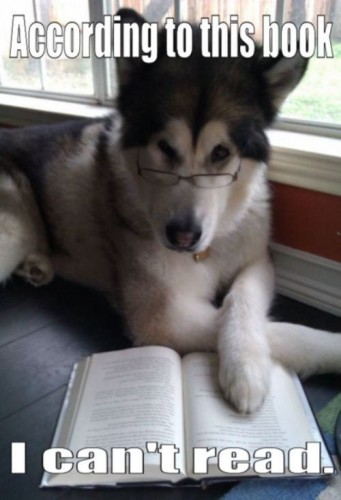 according to this book, I can't read.