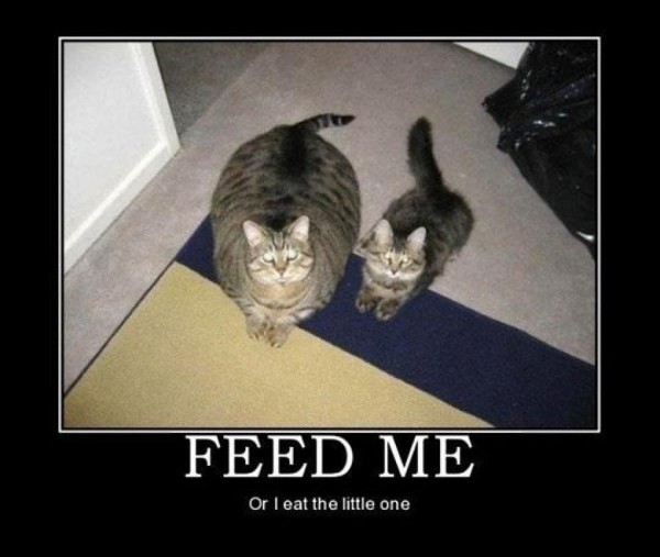 Feed me or the little gets eaten demotivational poster