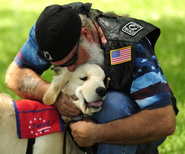 Patriot service puppy in training