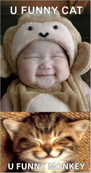 we-so-funny._1